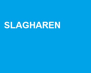 Bij u in slagharen 